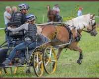 2POSIEUX 0286